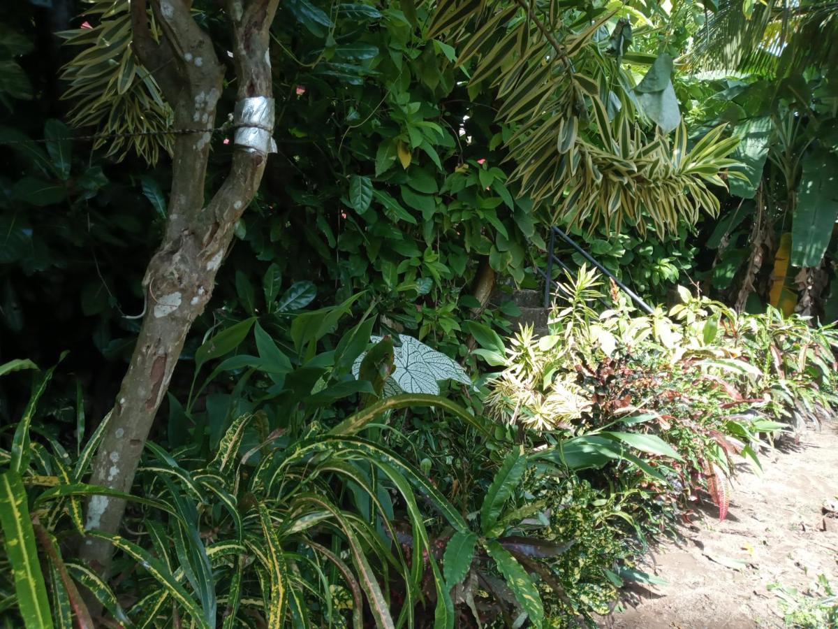 Tharul Home Bentota Exterior photo